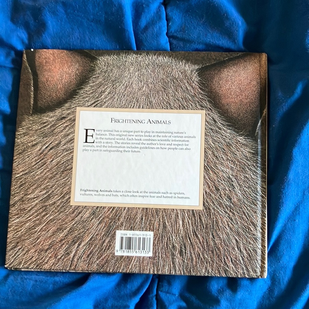 Blue and Orange Illustrated Book